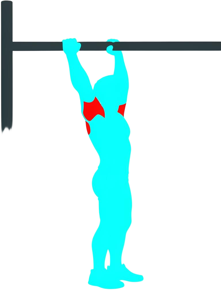Male body shape hanging at full stretch from a pull-up bar