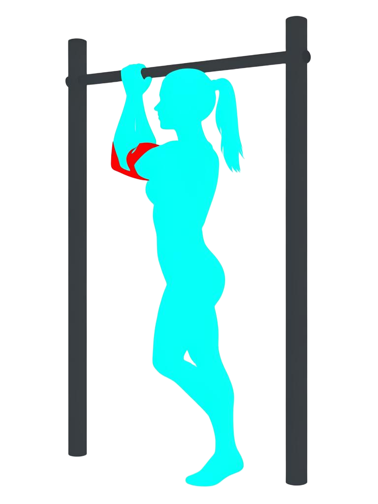 Female body shape halfway up a pull-up with elbows bent